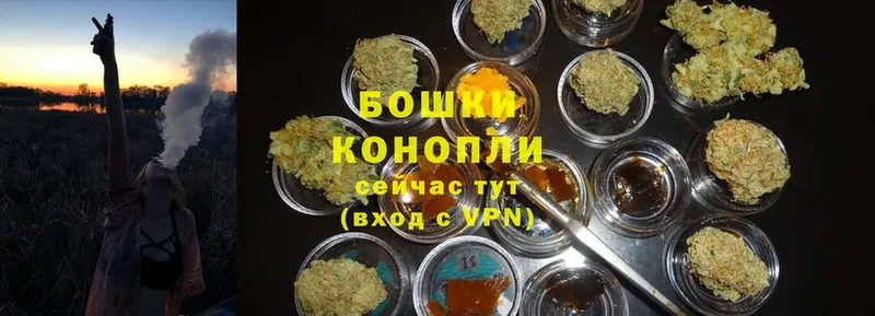 Шишки марихуана Ganja  kraken сайт  Великий Устюг 